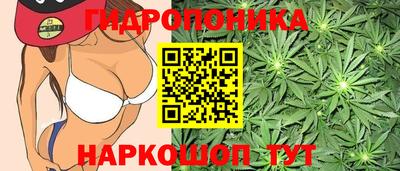 марки lsd Кандалакша
