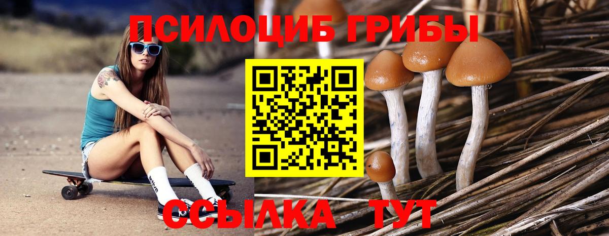 Псилоцибиновые грибы MAGIC MUSHROOMS Краснознаменск