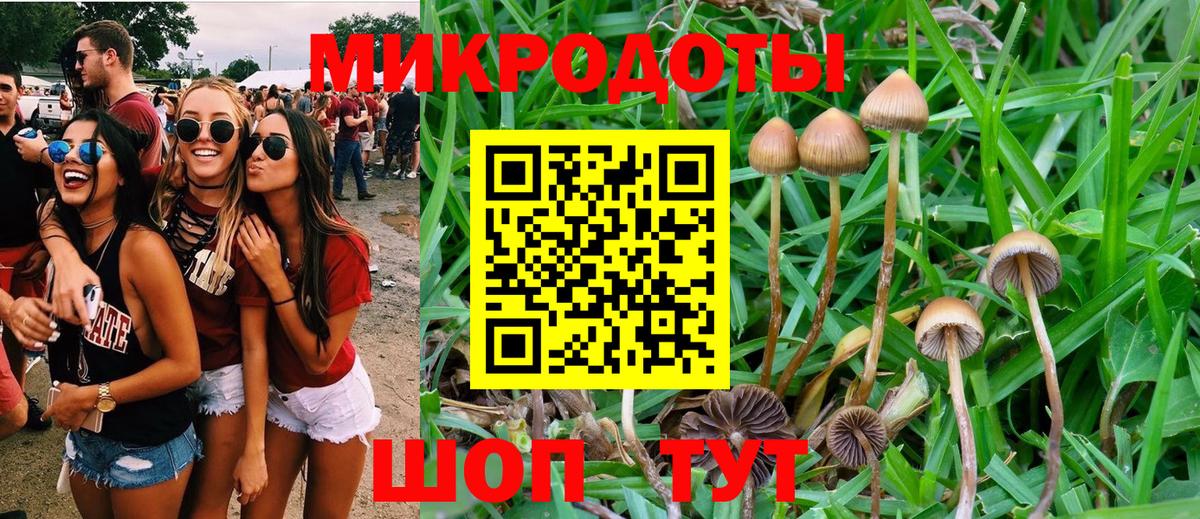 Галлюциногенные грибы Magic Shrooms  сколько стоит  Краснознаменск  Вход с VPN 
